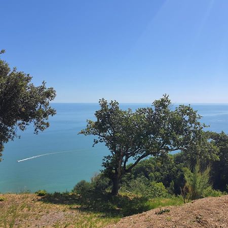 Bnb Fano Collina. La Pace Di Una Vacanza Piagge Dış mekan fotoğraf