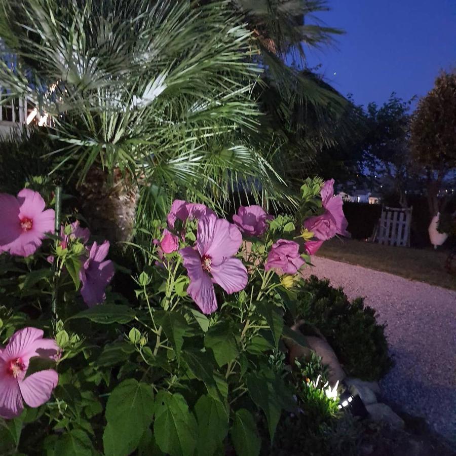 Bnb Fano Collina. La Pace Di Una Vacanza Piagge Dış mekan fotoğraf