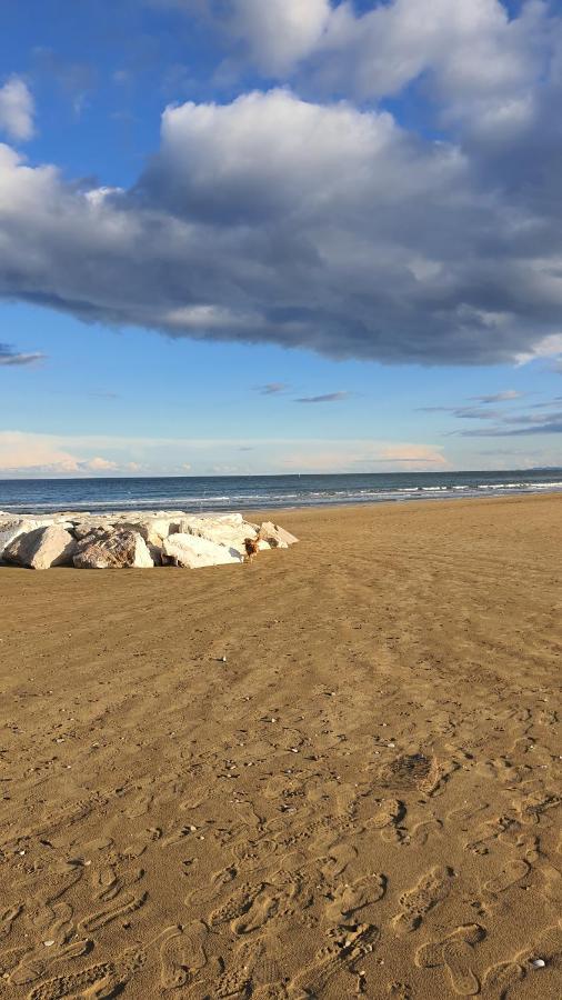 Bnb Fano Collina. La Pace Di Una Vacanza Piagge Dış mekan fotoğraf