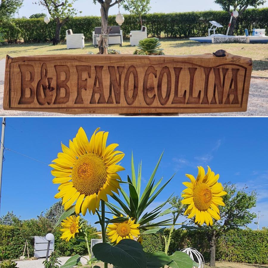 Bnb Fano Collina. La Pace Di Una Vacanza Piagge Dış mekan fotoğraf
