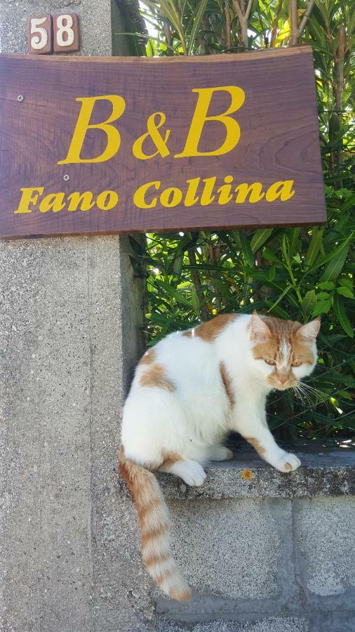Bnb Fano Collina. La Pace Di Una Vacanza Piagge Dış mekan fotoğraf