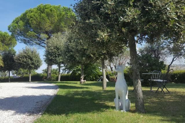 Bnb Fano Collina. La Pace Di Una Vacanza Piagge Dış mekan fotoğraf
