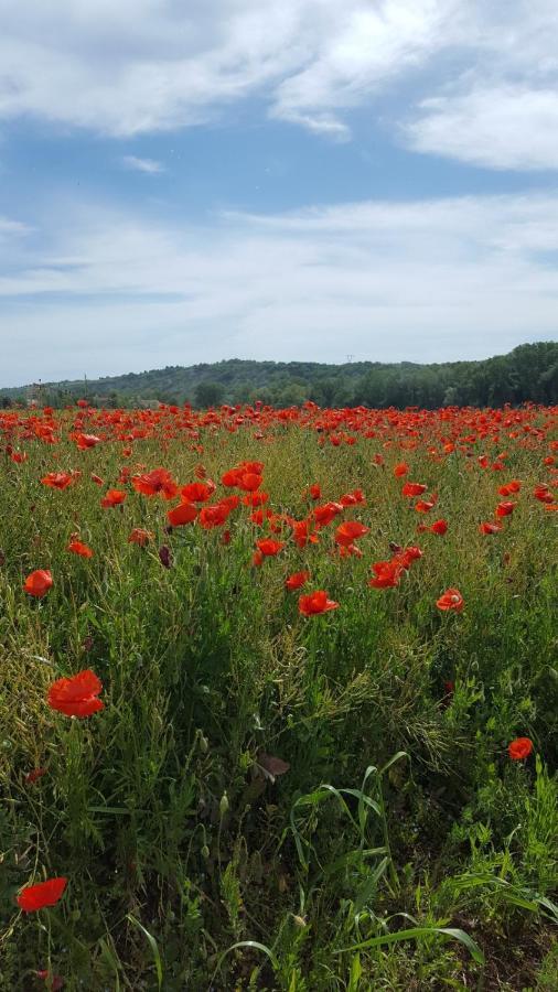 Bnb Fano Collina. La Pace Di Una Vacanza Piagge Dış mekan fotoğraf