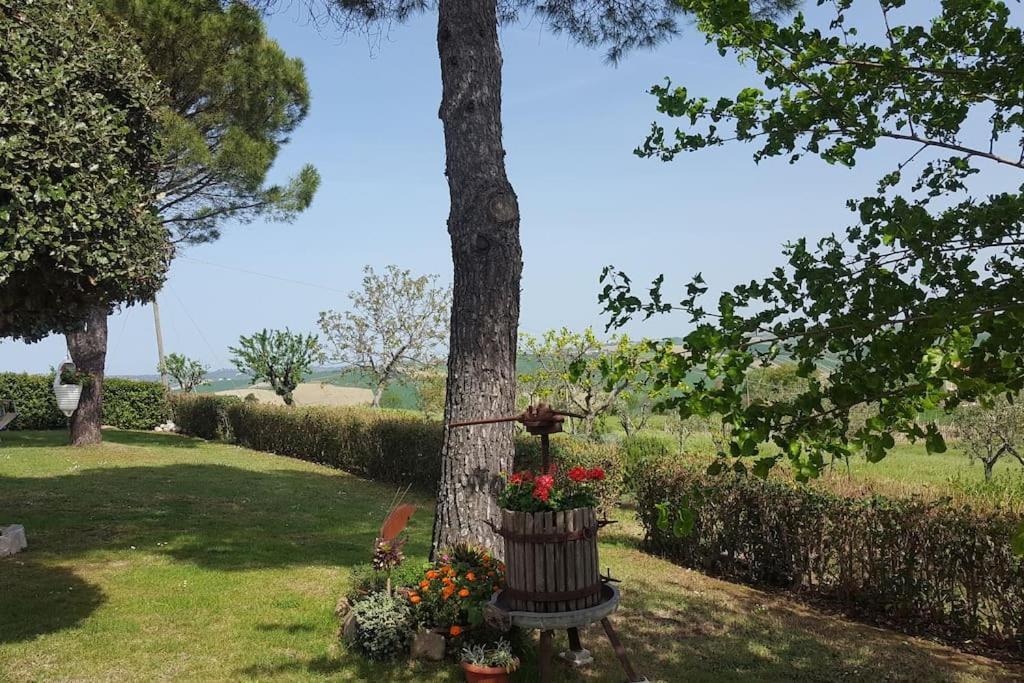 Bnb Fano Collina. La Pace Di Una Vacanza Piagge Dış mekan fotoğraf