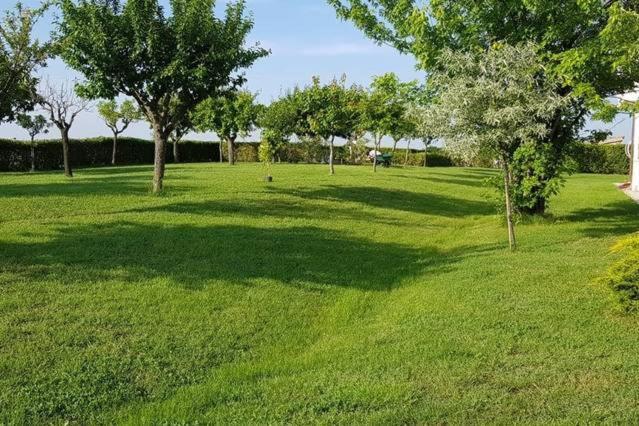 Bnb Fano Collina. La Pace Di Una Vacanza Piagge Dış mekan fotoğraf