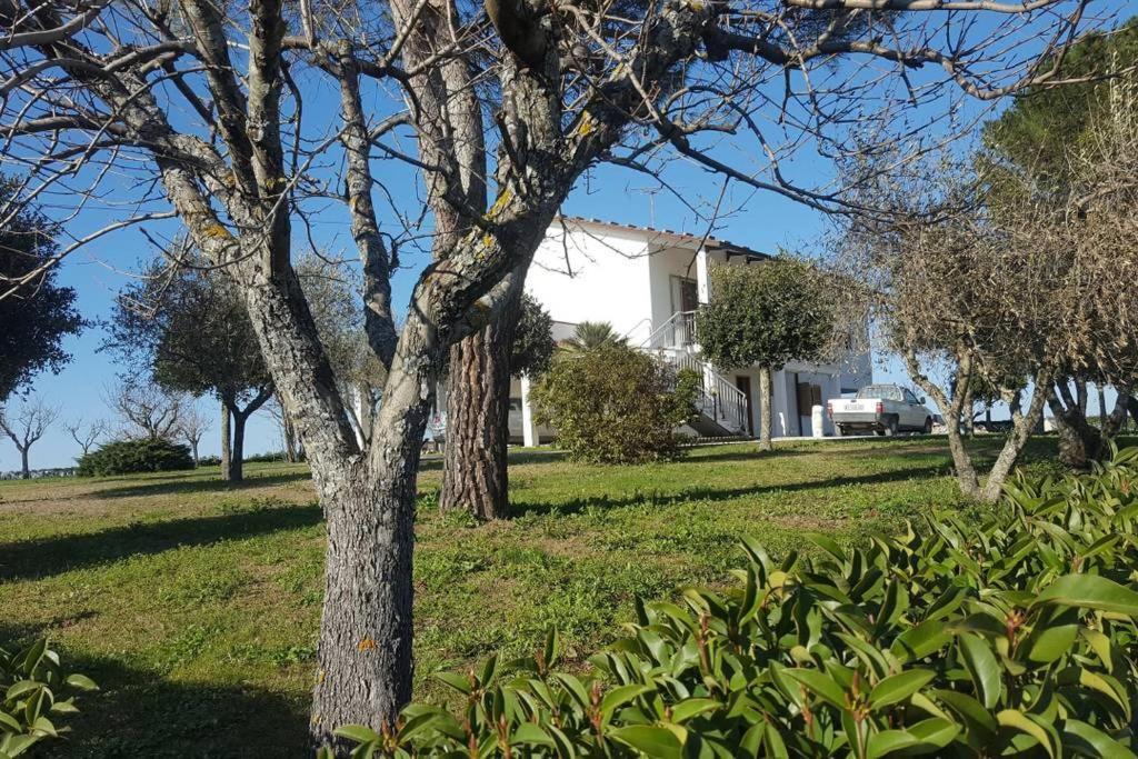 Bnb Fano Collina. La Pace Di Una Vacanza Piagge Dış mekan fotoğraf